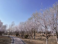 -水西公园