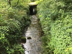 -玉女潭景区