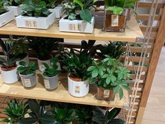 -MUJI无印良品(华贸店)