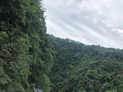 -碧峰峡风景区