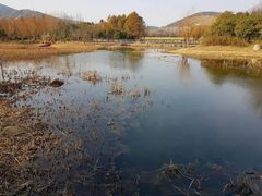 -长广溪湿地公园