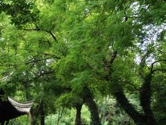 -第一山景区