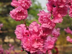 -夜小红炒虾尾(东大街店)