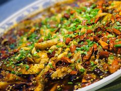-新概念来凤鱼(璧山店)