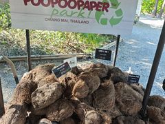 -大象粑粑造纸公园