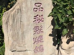 -食家鸽园