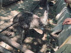 -石家庄市动物园