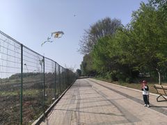 -丁香湖丁香小镇Citypark滑雪公园戏雪嘉年华