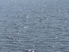 -西昌邛海宾馆