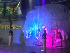 -清迈夜间动物园