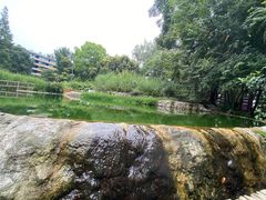 -成都市活水公园