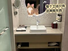 -南京禄口机场雅高铂尔曼大酒店