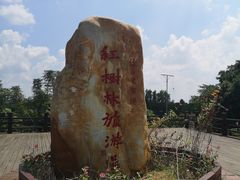 -东寨港红树林旅游区