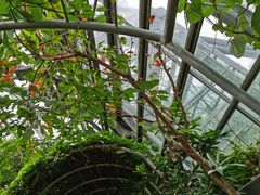 -南山植物园