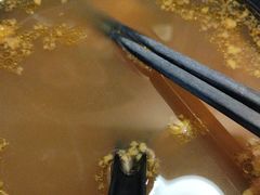 -舒蔡记生煎菜饭(云南中路店)