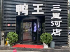 -鸭王烤鸭店(三里河店)