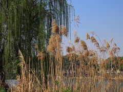-葛仙湖公园
