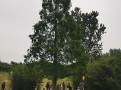 -廊坊市自然公园