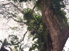 -龙海鲜螃蟹王(宏茂桥店)