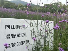 -冶父山国家森林公园