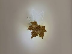 -Tims天好咖啡·贝果(东方广场店)
