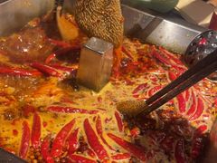 -蜀江龙火锅(339店)