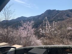 -妙峰山风景名胜区