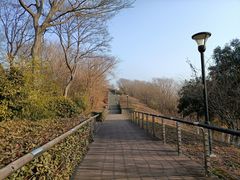 -羊山湖公园