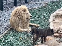 -北京野生动物园