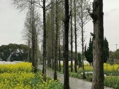 -小鱼草莓采摘园农家乐·小鱼餐厅
