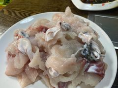 乌鱼火锅-三友乌鱼菜馆(金洲北路店)