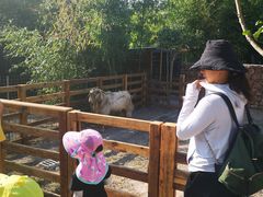 -九善农植有机生活农场
