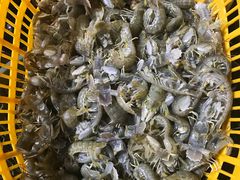 -海峡水产品交易中心(海鲜交易区)