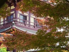 -庐山风景名胜区-东林大佛