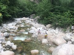 -青峰峡国家森林公园