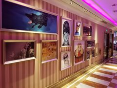 -佰迪乐KTV(阳桥店)