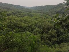 -大青沟风景区