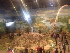 -自贡恐龙博物馆