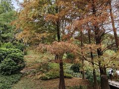 -云溪植物园