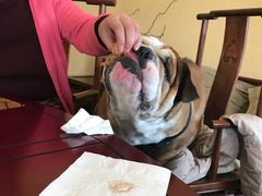 -意大利农场度假村