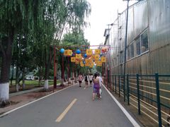 -北戴河集发农业梦想王国