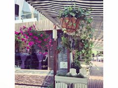-Local泰莲庭(虹鳟鱼店)