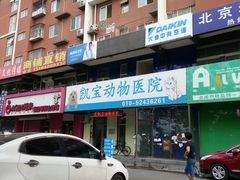 -悦宠凯宝动物医院·牙科·皮肤科(朝阳北路店)