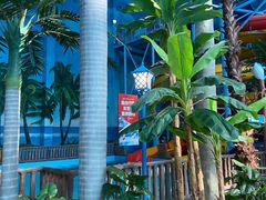 -青岛东方影都融创水世界