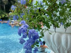 -菲鱼体育恒温游泳馆(中海名城店)