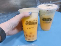 -桐园果汇(湖贝店)