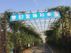 -武汉紫薇都市田园