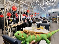 -FAIRYLAND龙族星球主题餐厅(凯丹广场店)