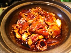 瑶柱沙煲豉油皇鸡-陶陶居酒家(环市东店)