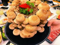 玉女菇（活体）-今日炊牛·潮汕牛肉火锅(华采天地店)